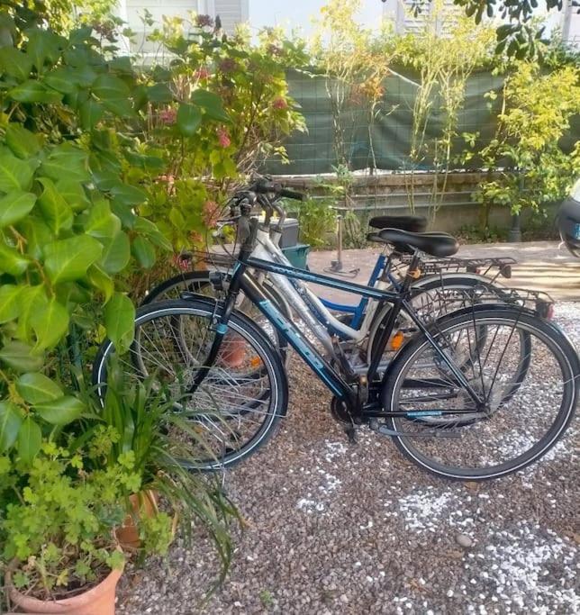 Just Outside The Wall: Free A/C, Bikes And Wifi ลุคคา ภายนอก รูปภาพ